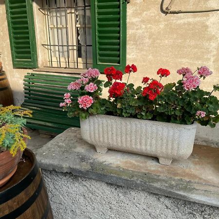 The Montevecchia Home - Frida Apartment Εξωτερικό φωτογραφία