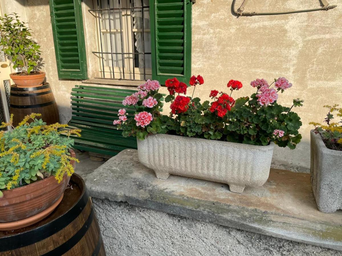 The Montevecchia Home - Frida Apartment Εξωτερικό φωτογραφία
